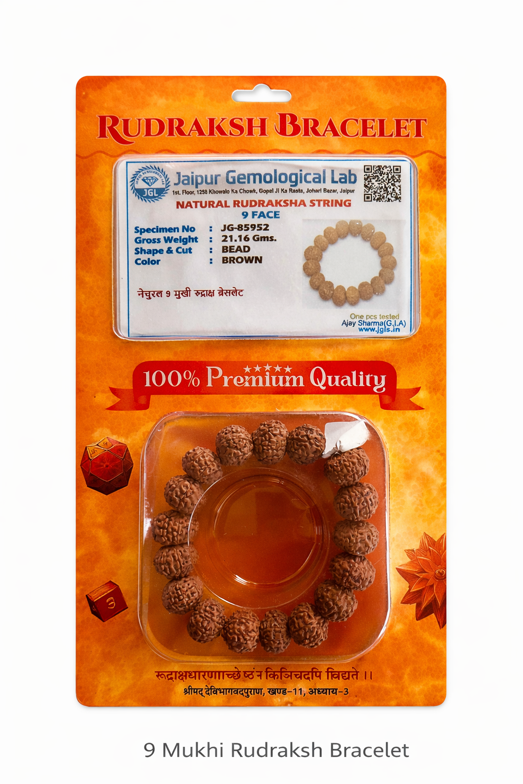 9 Mukhi Rudraksha Bracelet with certificate